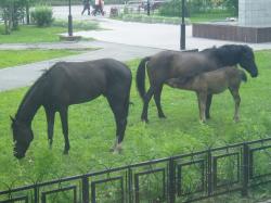 Северюхин Виталий леонидович 004